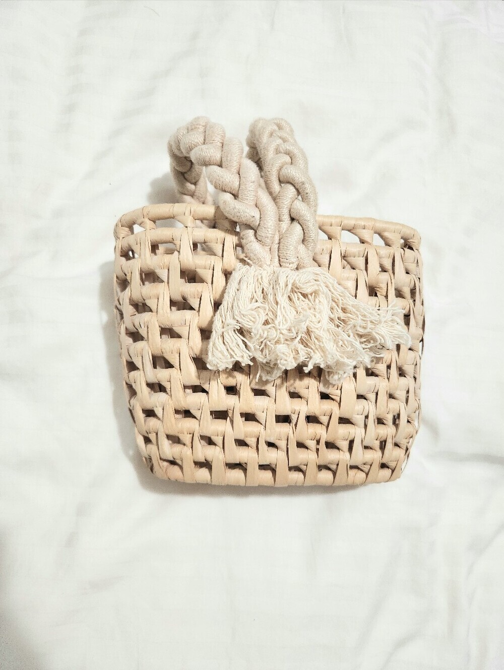 Braided Handle Woven Tote Bag in Beige